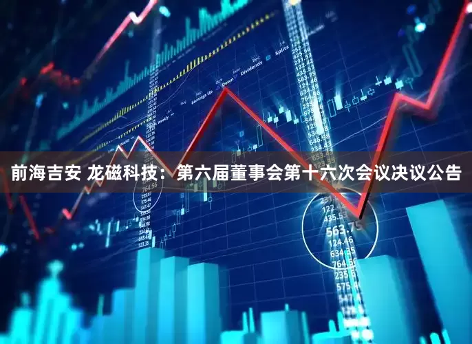前海吉安 龙磁科技：第六届董事会第十六次会议决议公告