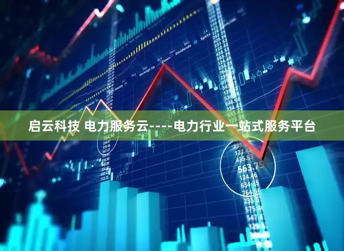 启云科技 电力服务云----电力行业一站式服务平台