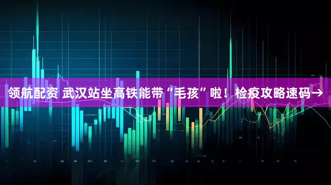 领航配资 武汉站坐高铁能带“毛孩”啦！检疫攻略速码→
