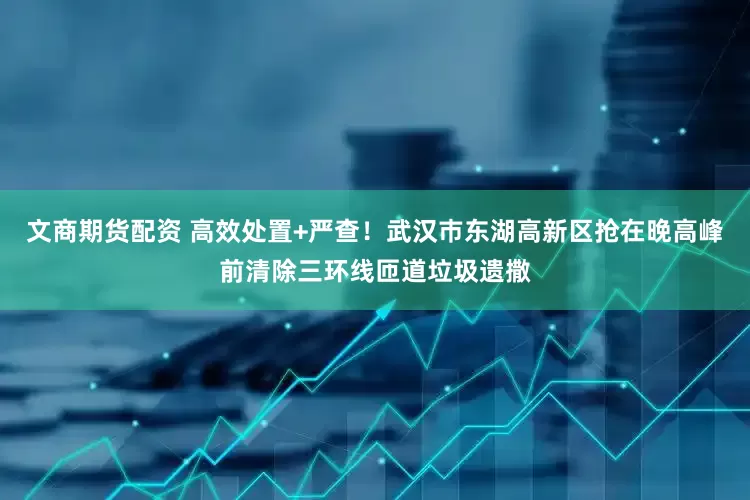 文商期货配资 高效处置+严查！武汉巿东湖高新区抢在晚高峰前清除三环线匝道垃圾遗撒