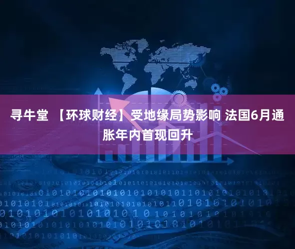 寻牛堂 【环球财经】受地缘局势影响 法国6月通胀年内首现回升