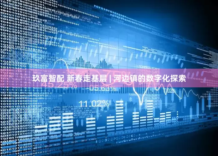 玖富智配 新春走基层 | 河边镇的数字化探索