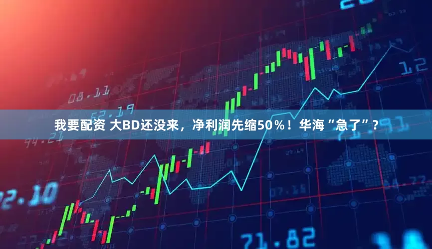 我要配资 大BD还没来，净利润先缩50％！华海“急了”？