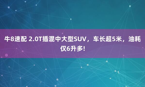 牛8速配 2.0T插混中大型SUV，车长超5米，油耗仅6升多!